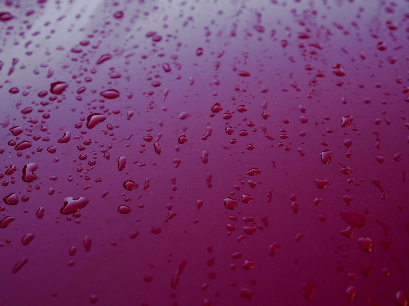 Water beading on freshly ceramic-coated paint